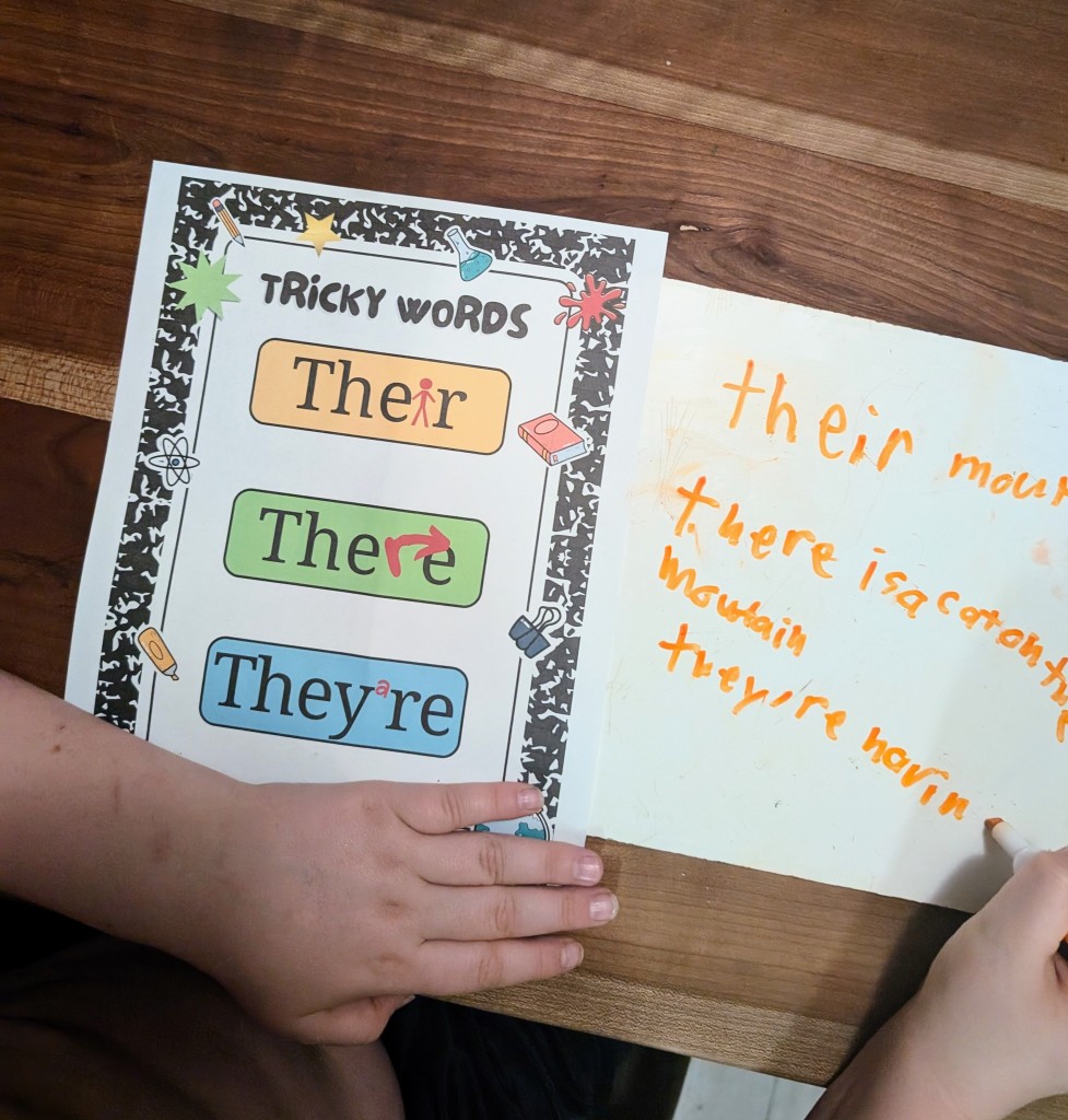 This image has an empty alt attribute; its file name is pxl_20250228_035153719.jpg